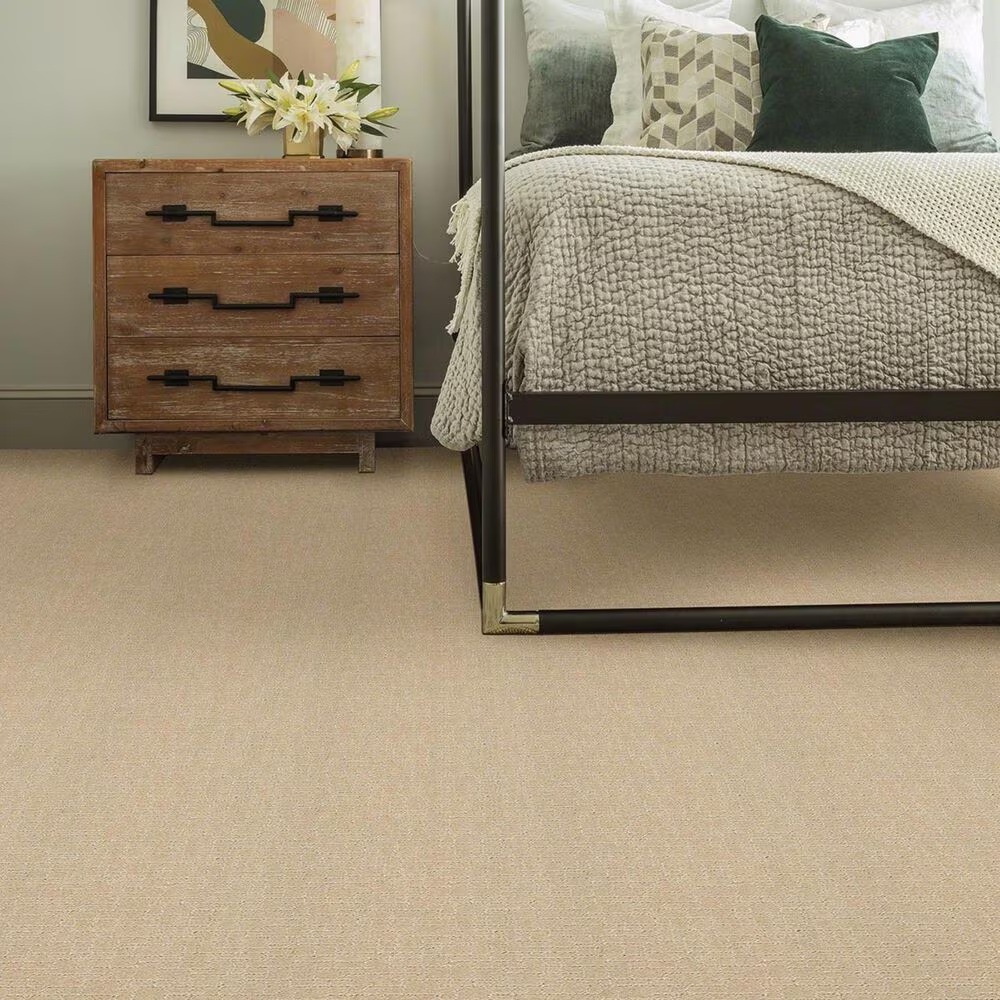 34959-anderson-tuftex-new-tricks-carpet-in-hazelnut-1.jpg