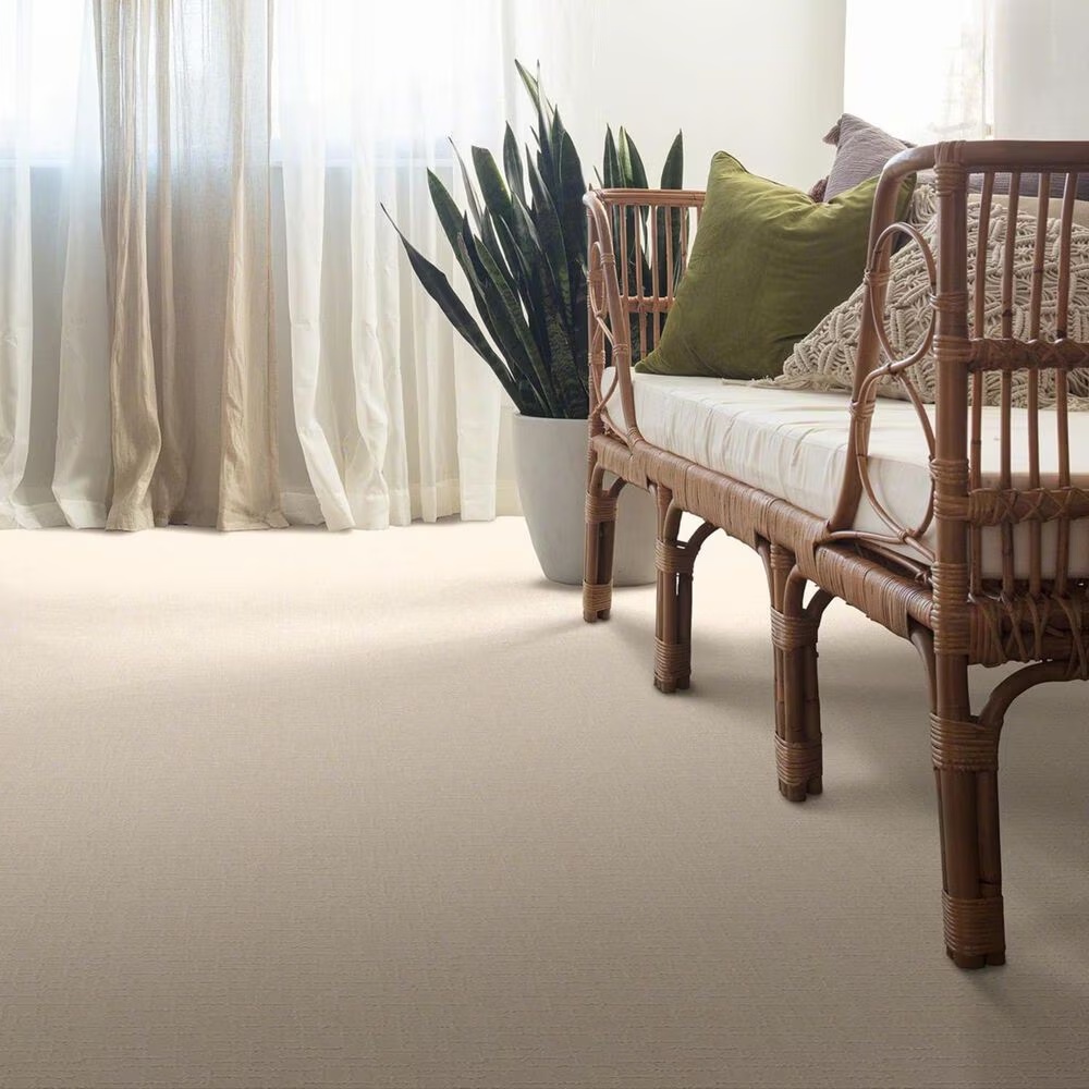 34984-anderson-tuftex-new-tricks-carpet-in-capri-coast-1.jpg