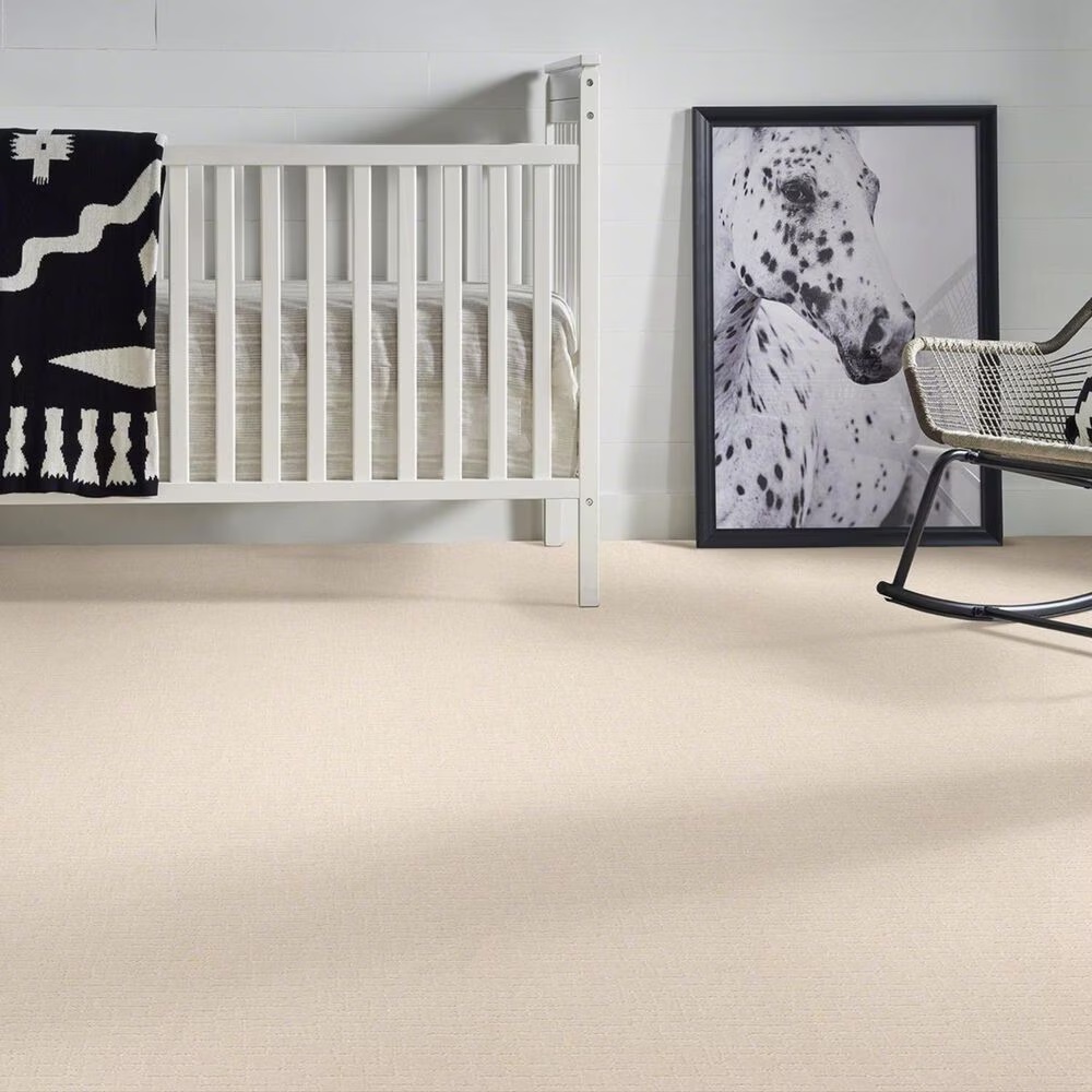34984-anderson-tuftex-new-tricks-carpet-in-capri-coast-1.jpg