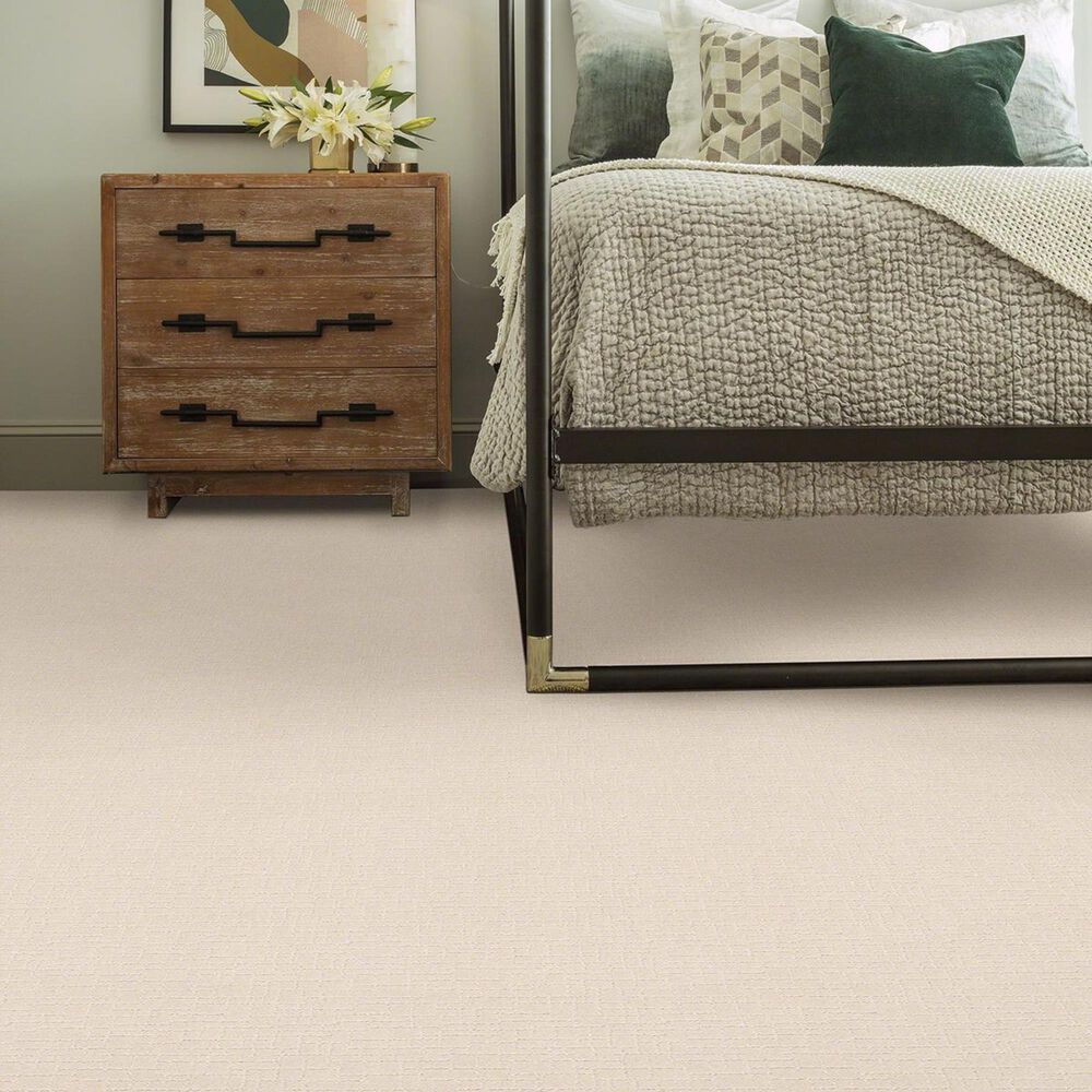 34984-anderson-tuftex-new-tricks-carpet-in-capri-coast-1.jpg