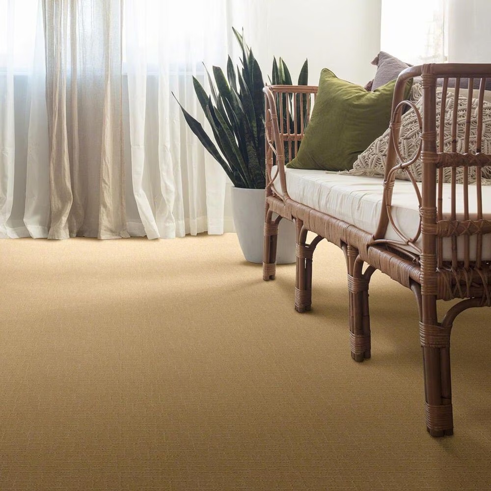 35009-anderson-tuftex-new-tricks-carpet-in-cork-1.jpg