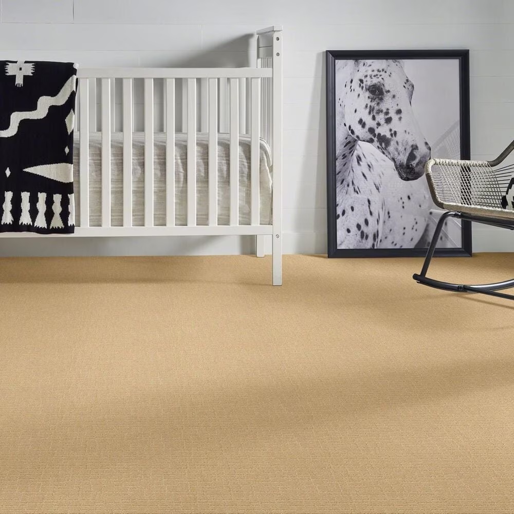 35009-anderson-tuftex-new-tricks-carpet-in-cork-1.jpg