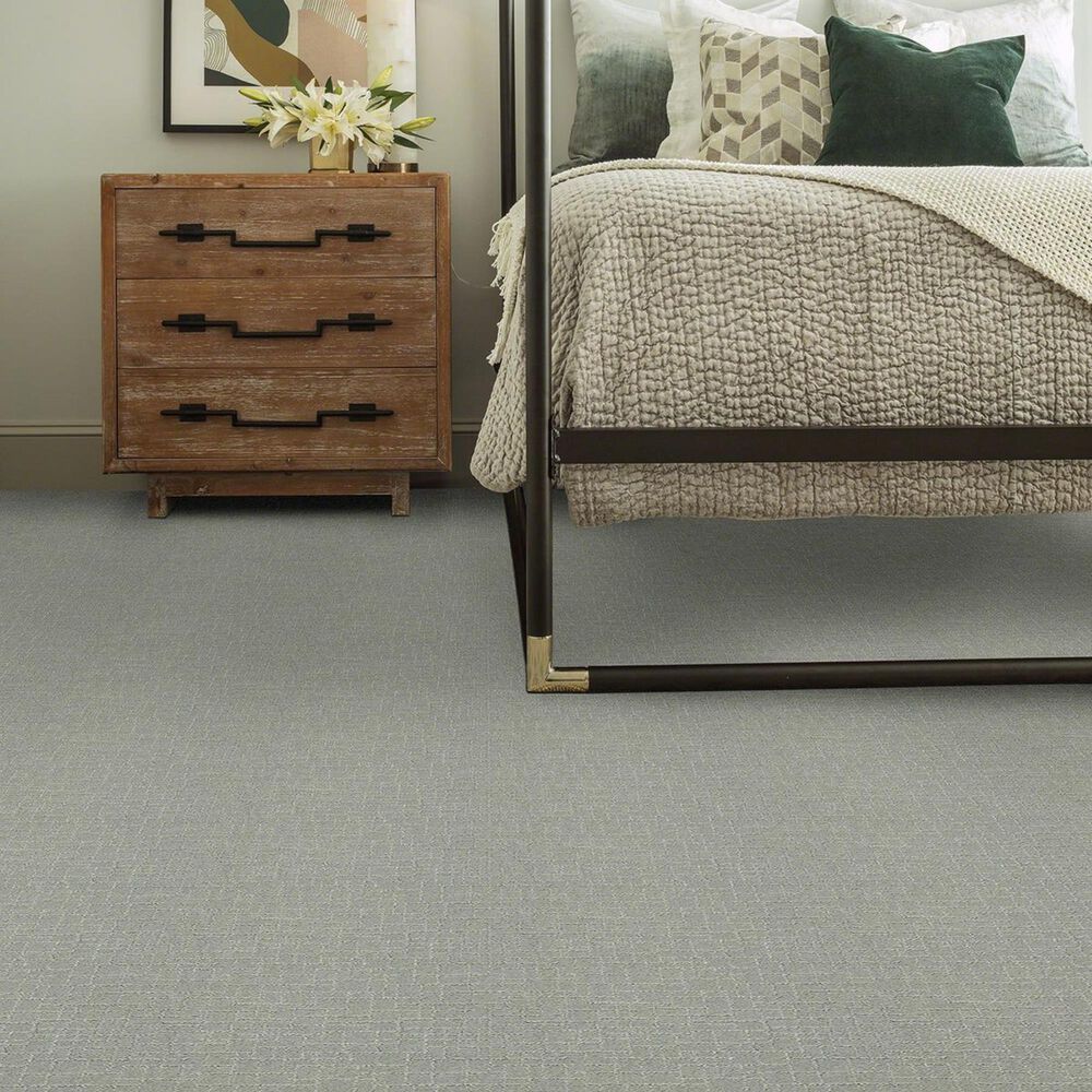 35034-anderson-tuftex-new-tricks-carpet-in-misty-lake-1.jpg