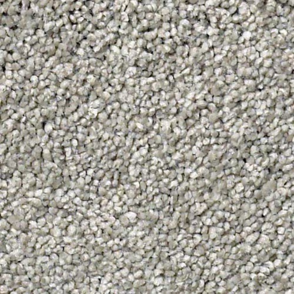 Shaw Find Your Comfort NS I Carpet in Restful Day