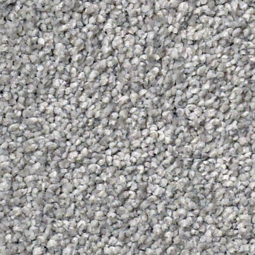 Shaw Find Your Comfort NS I Carpet in Misty Rain