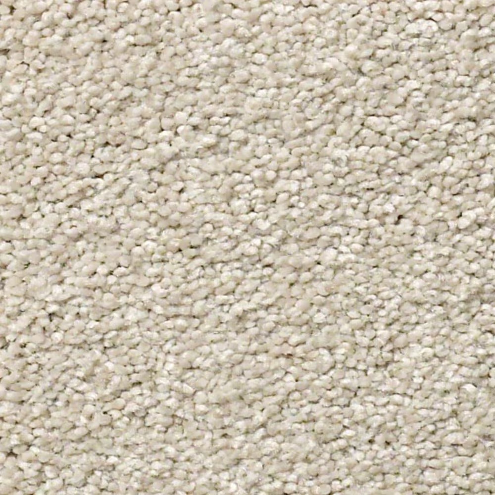 Shaw Find Your Comfort NS I Carpet in Shoreline Haze