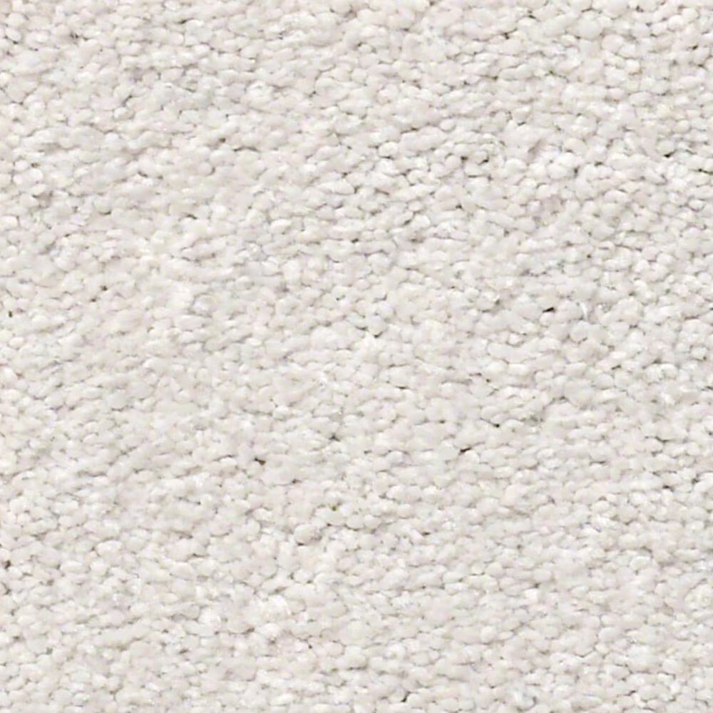 Shaw Find Your Comfort NS I Carpet in Whitewashed Frame