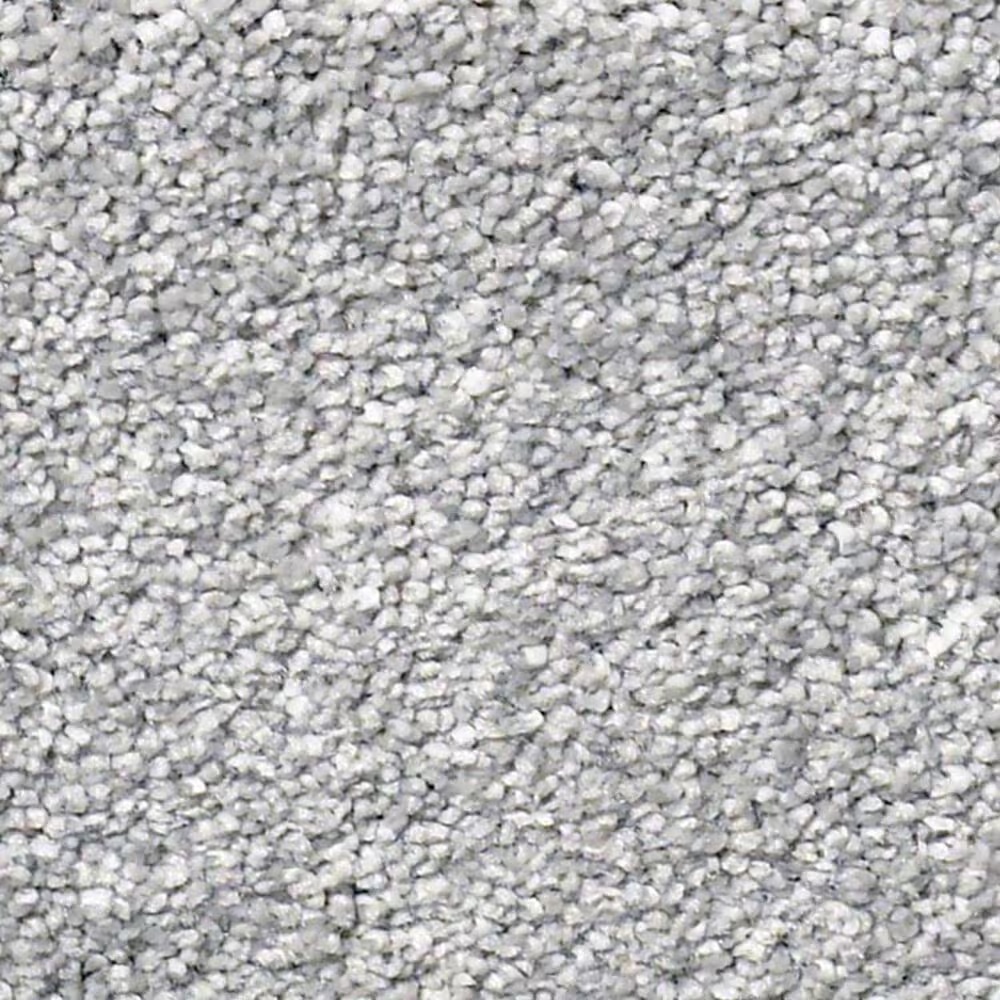Shaw Sfa Find Your Comfort NS I Carpet in Polished Silver
