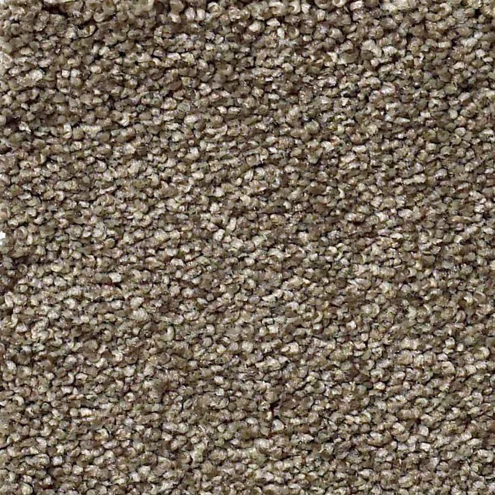 Shaw Find Your Comfort NS I Carpet in Summer House