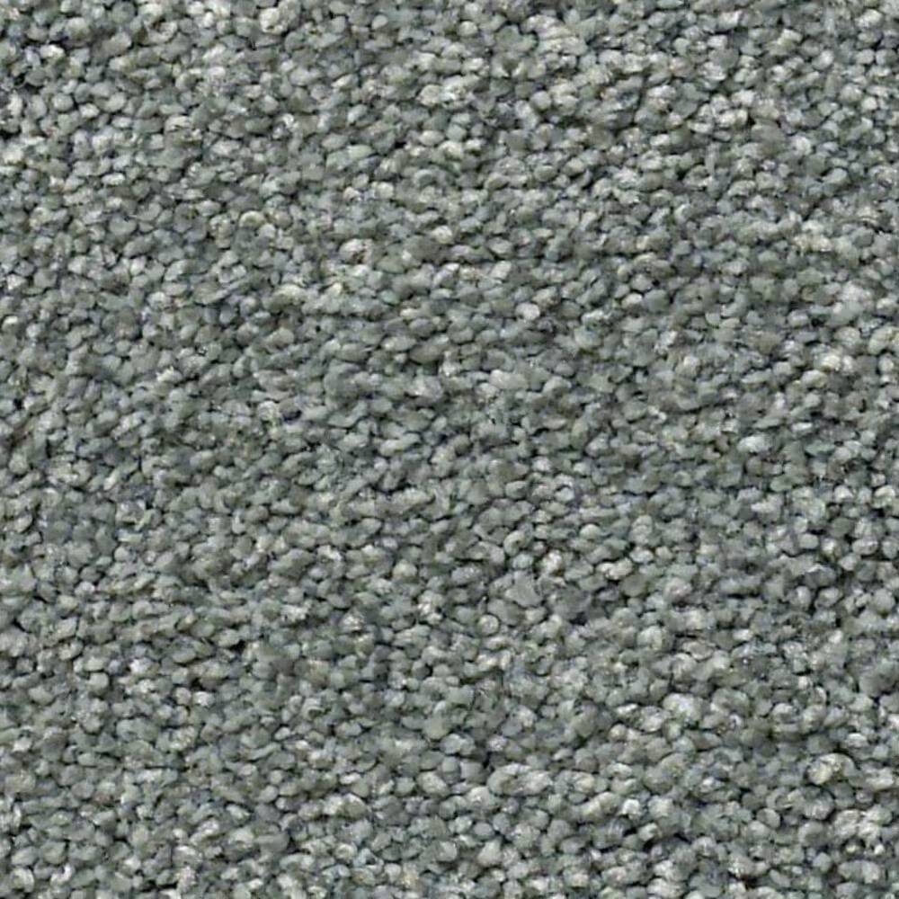 Shaw Find Your Comfort NS I Carpet in Cottage Garden