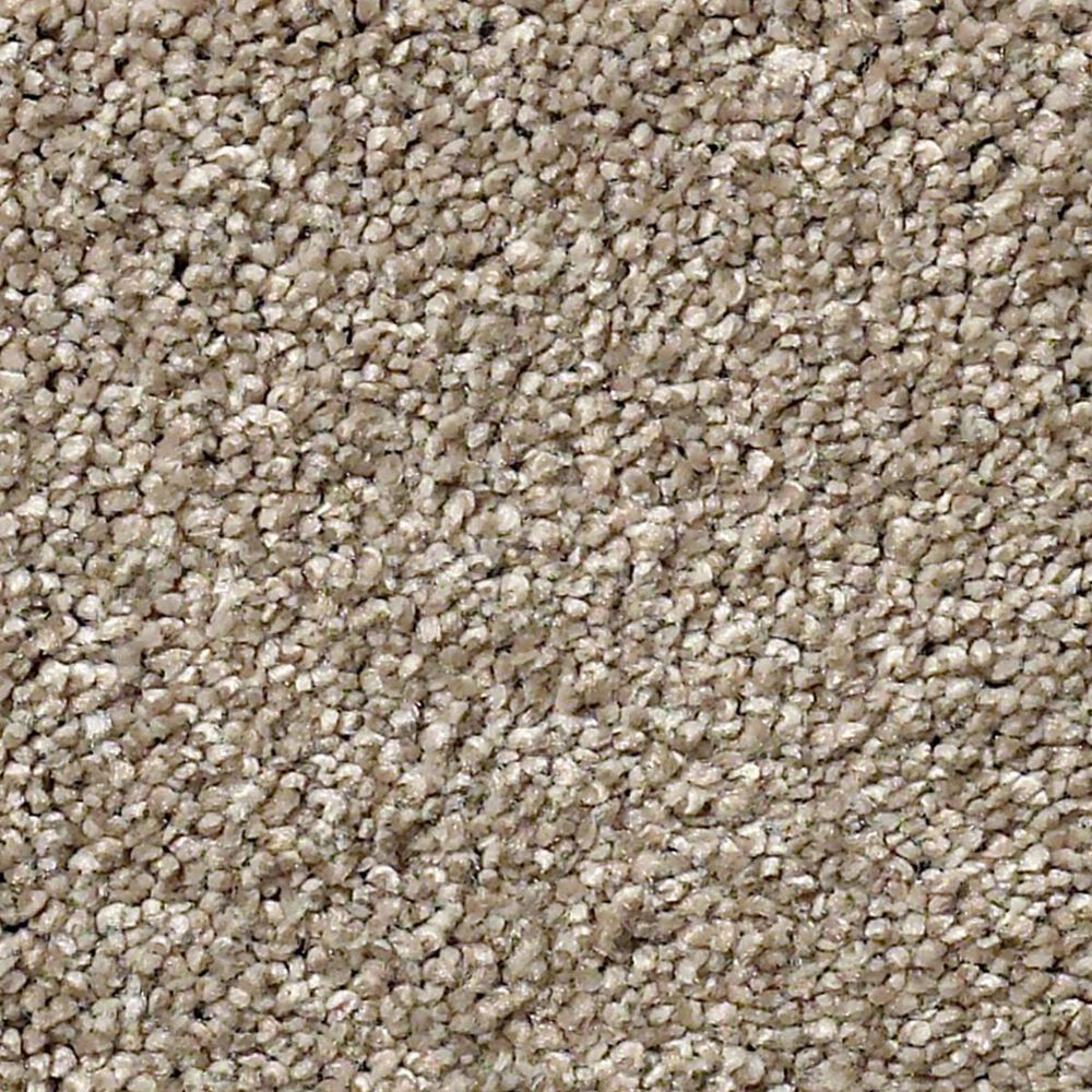 Shaw Find Your Comfort NS I Carpet in Dockside View