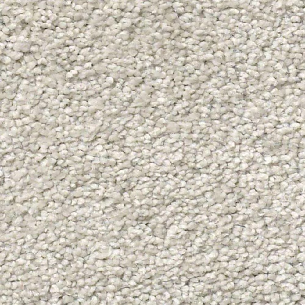 Shaw Find Your Comfort NS I Carpet in Chill in The Air