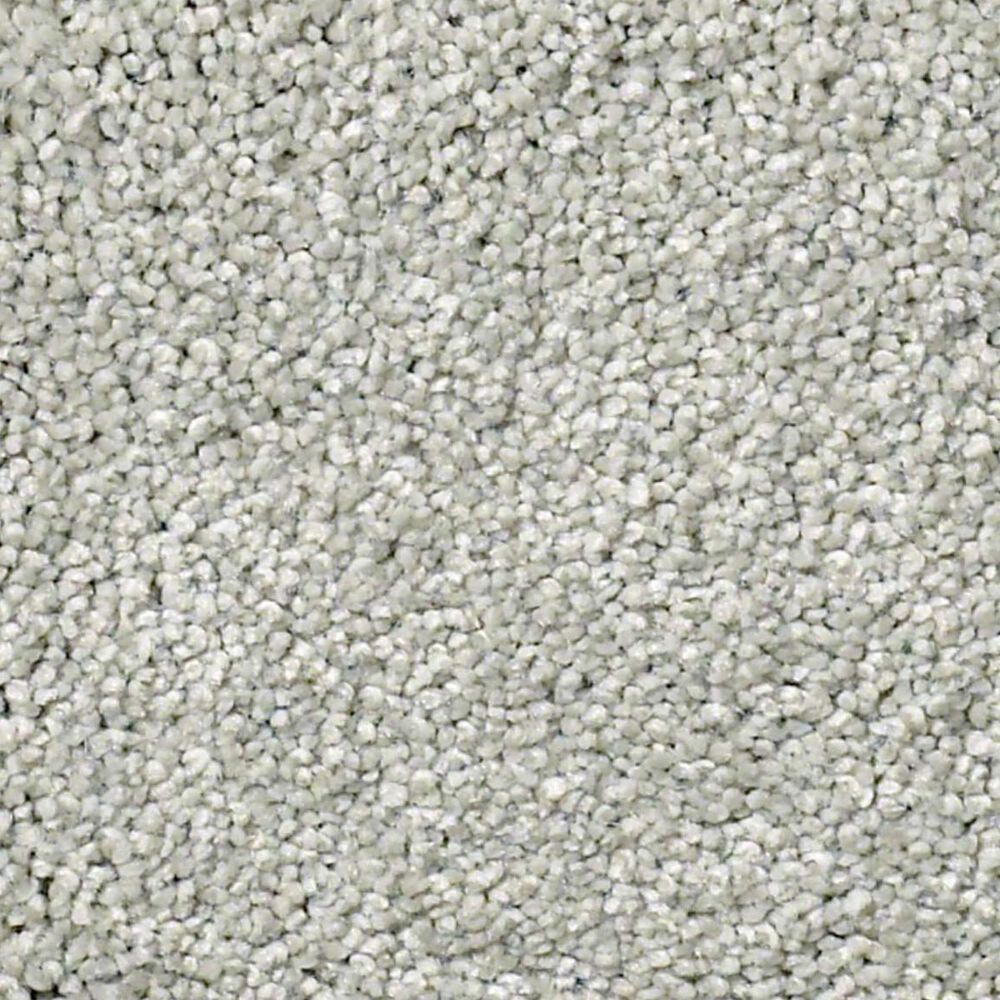 Shaw Find Your Comfort NS I Carpet in Refreshed