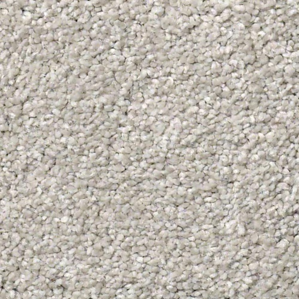 Shaw Find Your Comfort NS I Carpet in Quiet Time