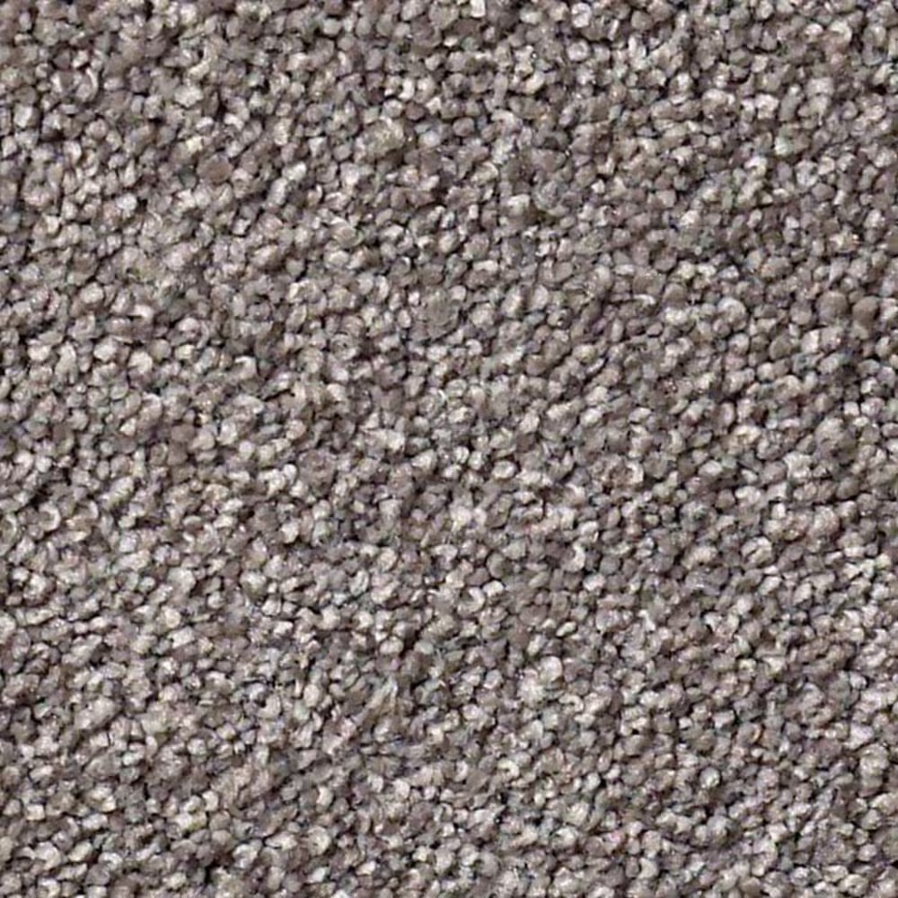 Shaw Find Your Comfort NS I Carpet in Lilac Field