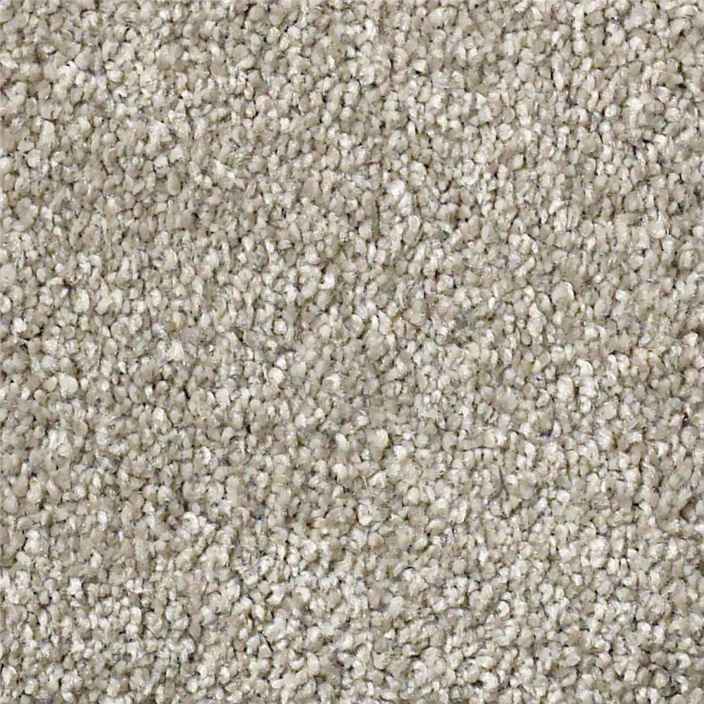 Shaw Find Your Comfort NS I Carpet in Back Patio