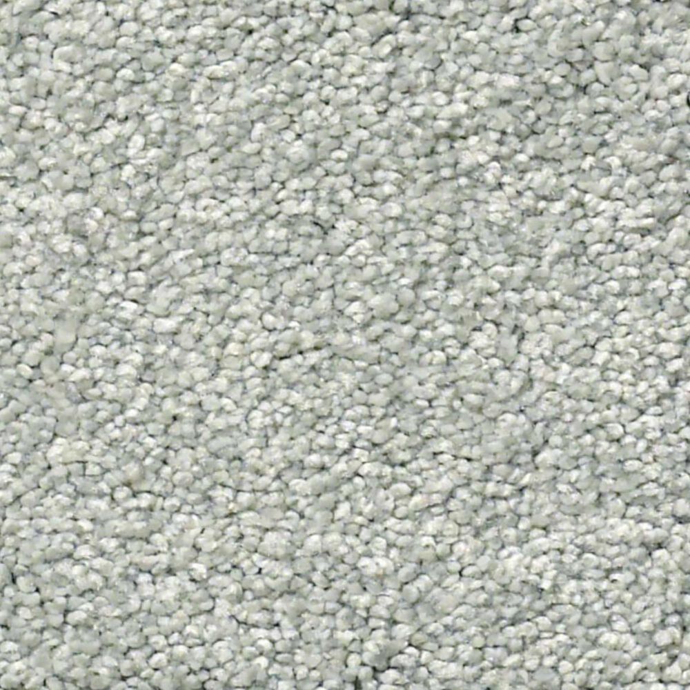 Shaw Find Your Comfort NS I Carpet in Distant Valley