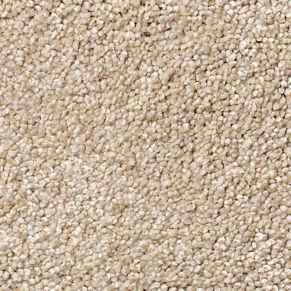 Shaw Find Your Comfort NS I Carpet in Walk on The Beach
