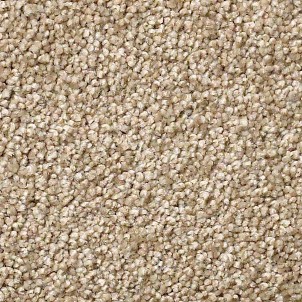 Shaw Find Your Comfort NS I Carpet in Honey Tea