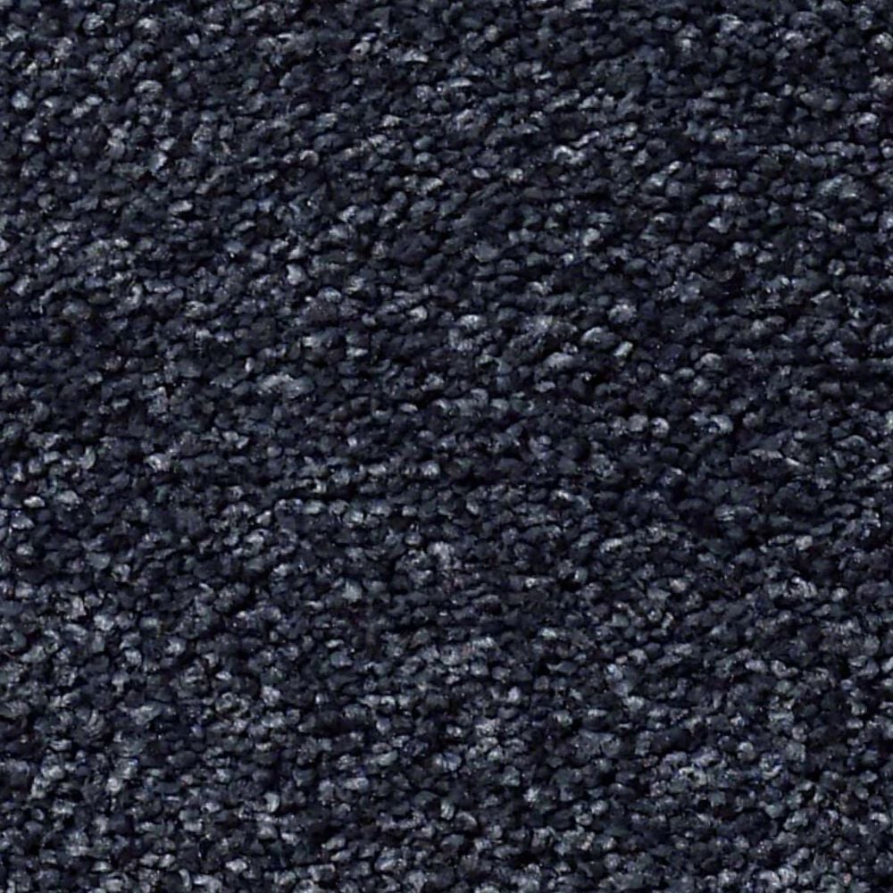 Shaw Find Your Comfort NS I Carpet in Star Gazing