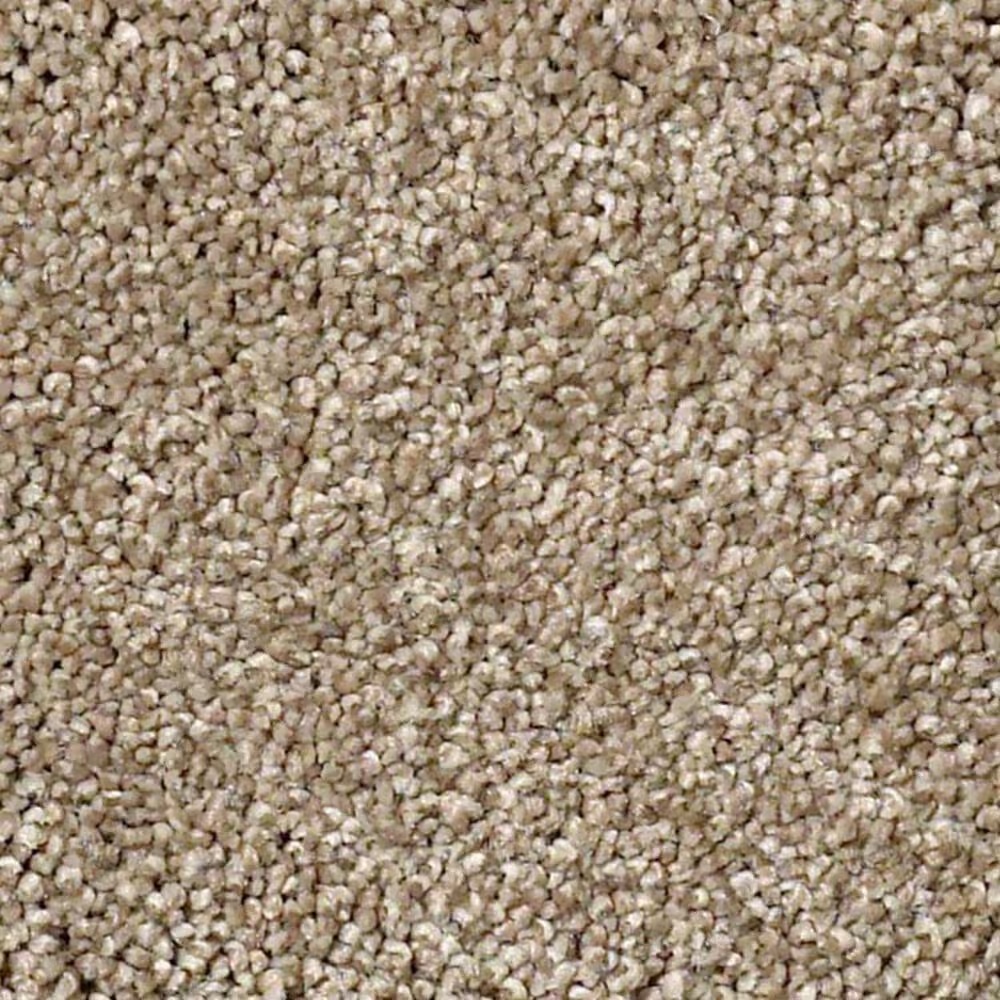 Shaw Find Your Comfort NS I Carpet in Camping Trip