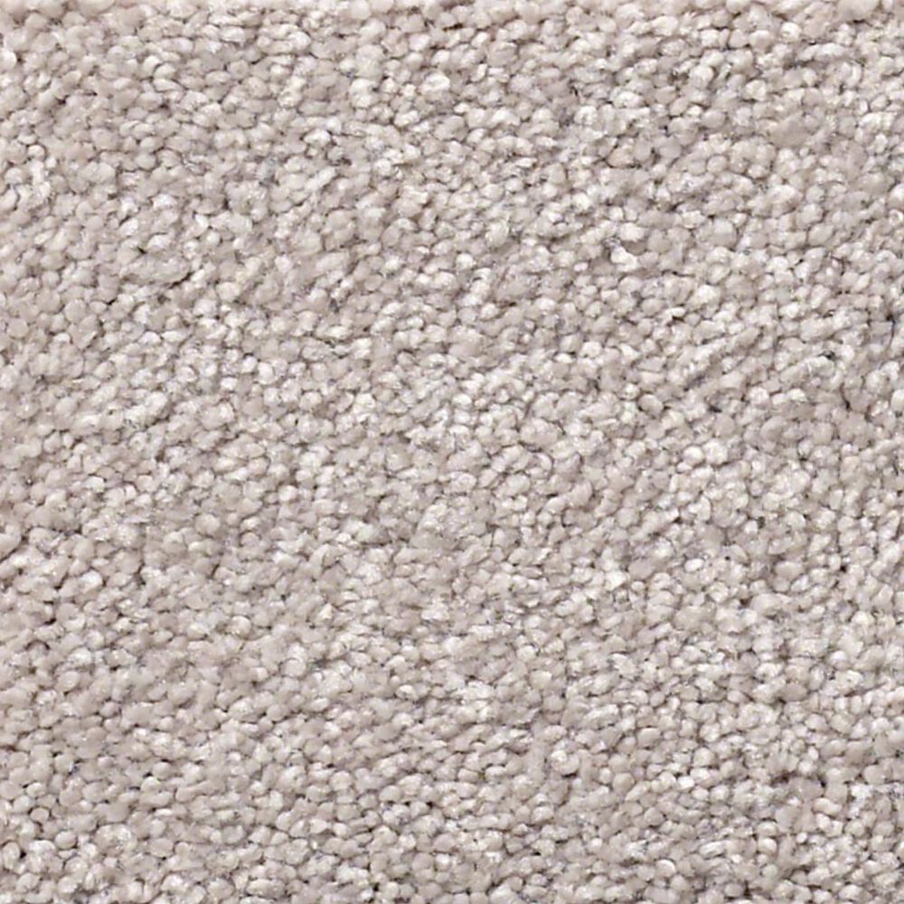 Shaw Find Your Comfort NS I Carpet in Evening in Paris