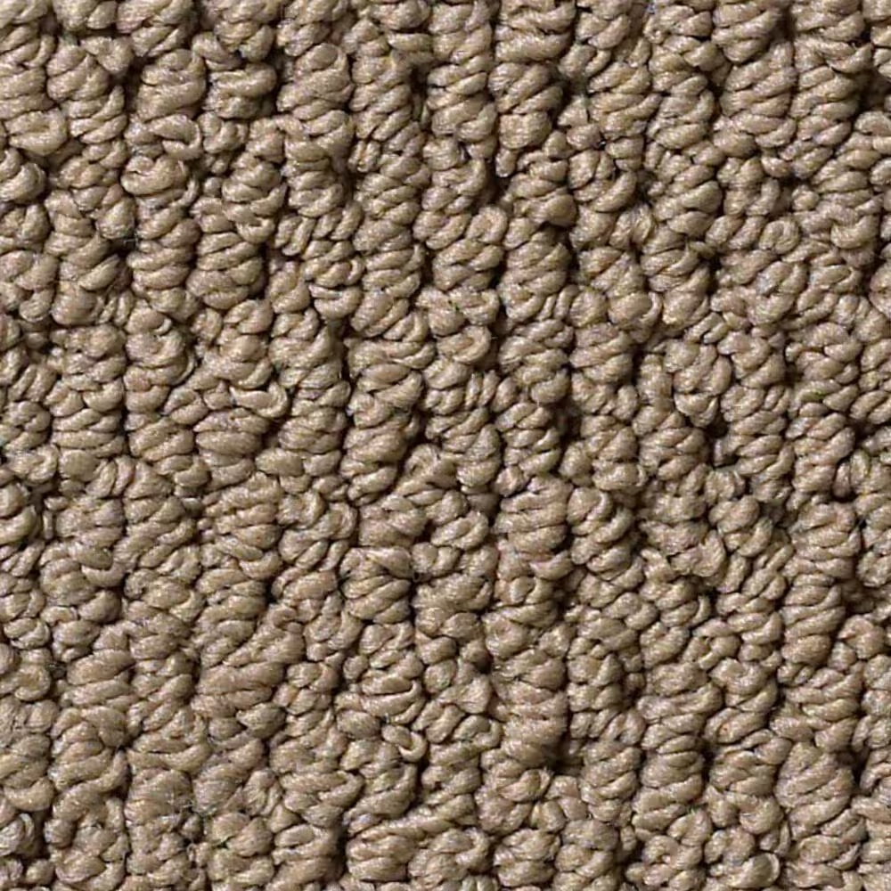 Anderson Tuftex Crafted Carpet in Homestead