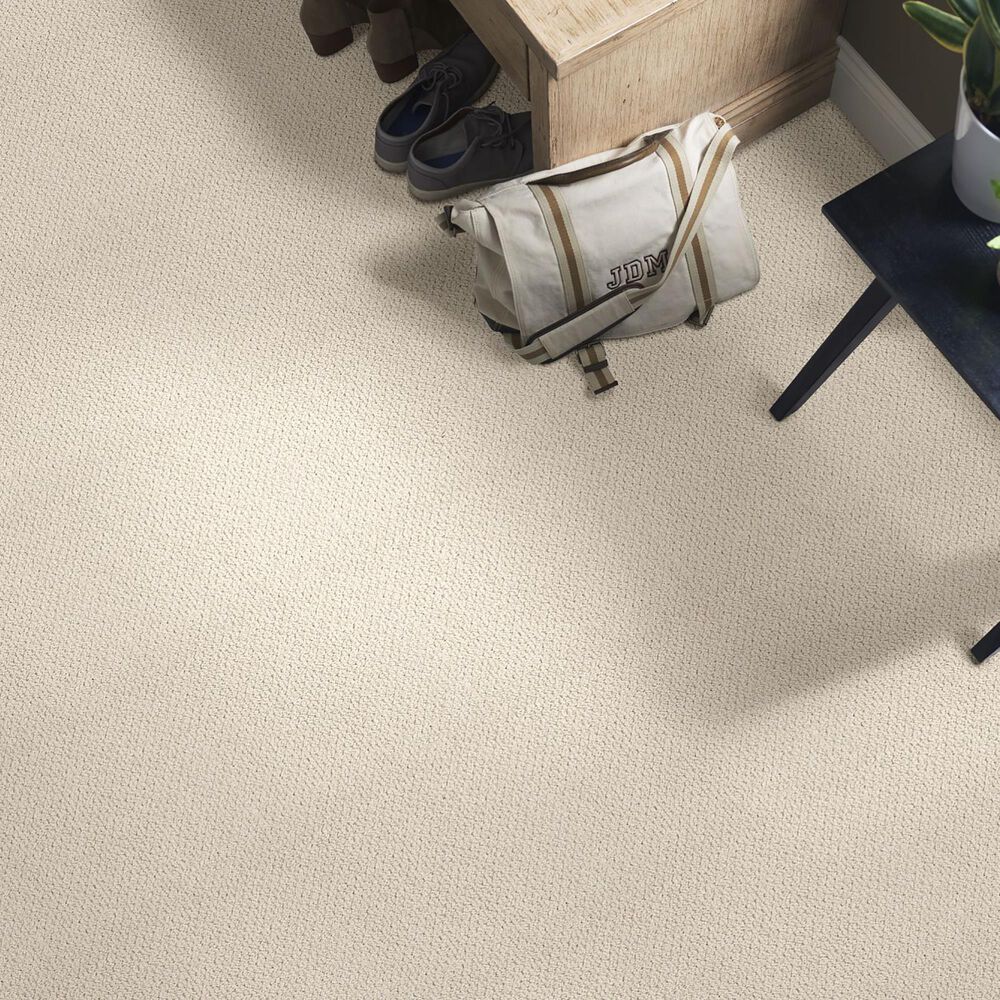 35234-anderson-tuftex-crafted-carpet-in-aged-white-1.jpg