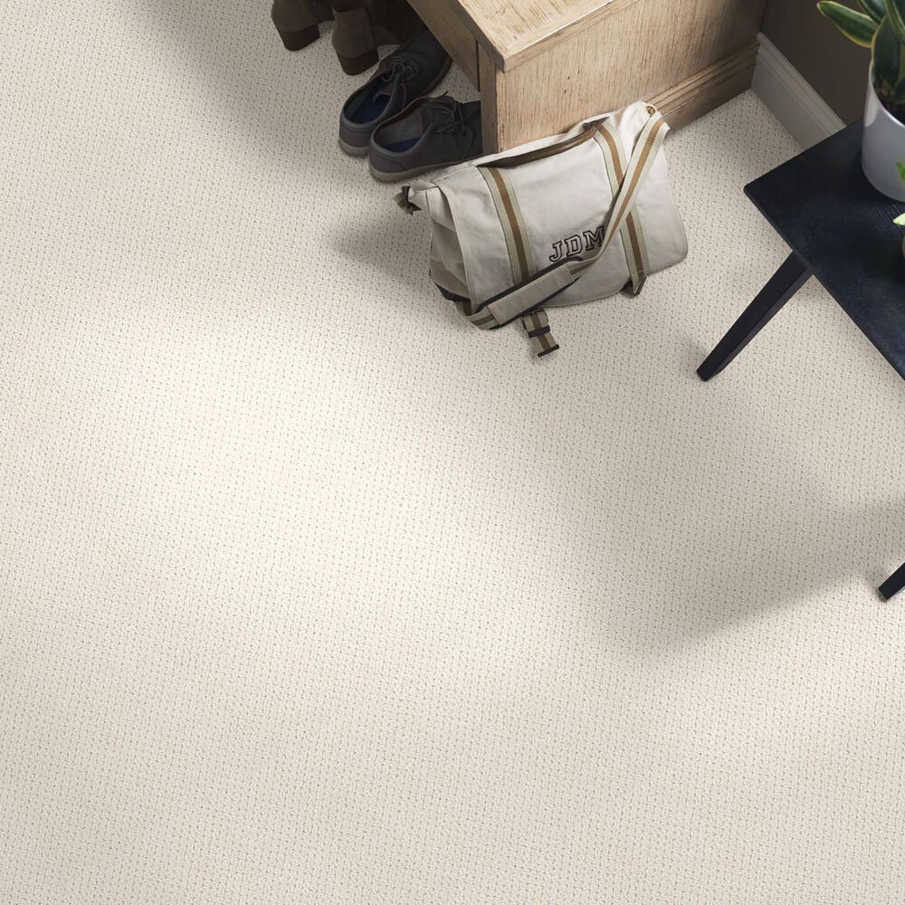 35241-anderson-tuftex-crafted-carpet-in-white-blush-1.jpg