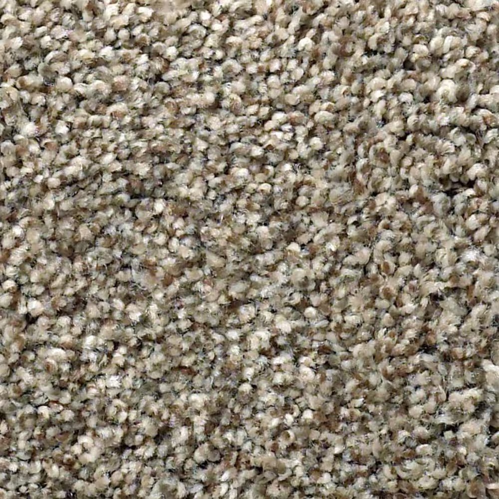 Anderson Tuftex The Bark Side II Carpet in Rodeo