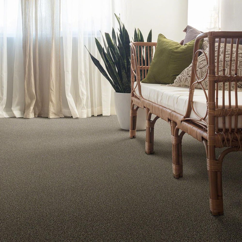 35243-anderson-tuftex-the-bark-side-ii-carpet-in-rodeo-1.jpg