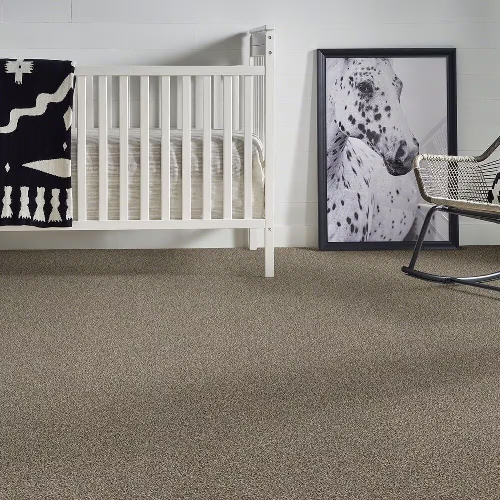 35243-anderson-tuftex-the-bark-side-ii-carpet-in-rodeo-1.jpg