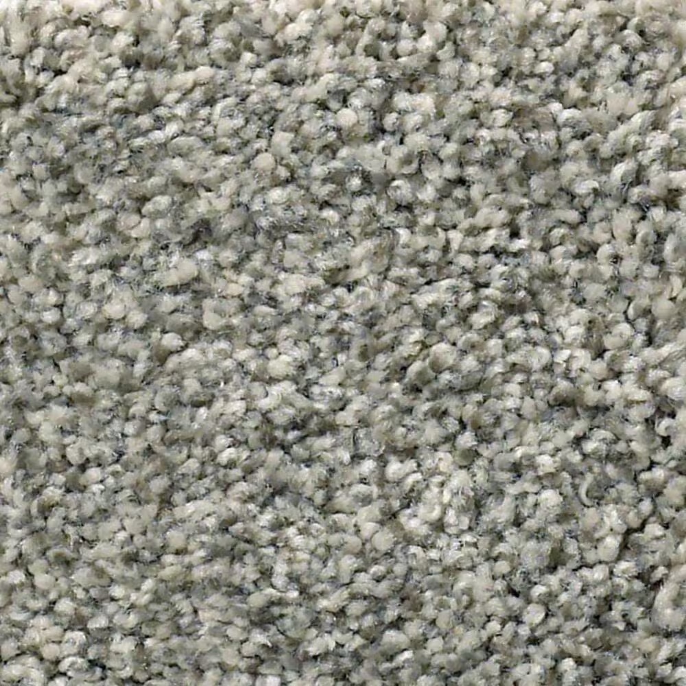 Anderson Tuftex The Bark Side II Carpet in Abalone