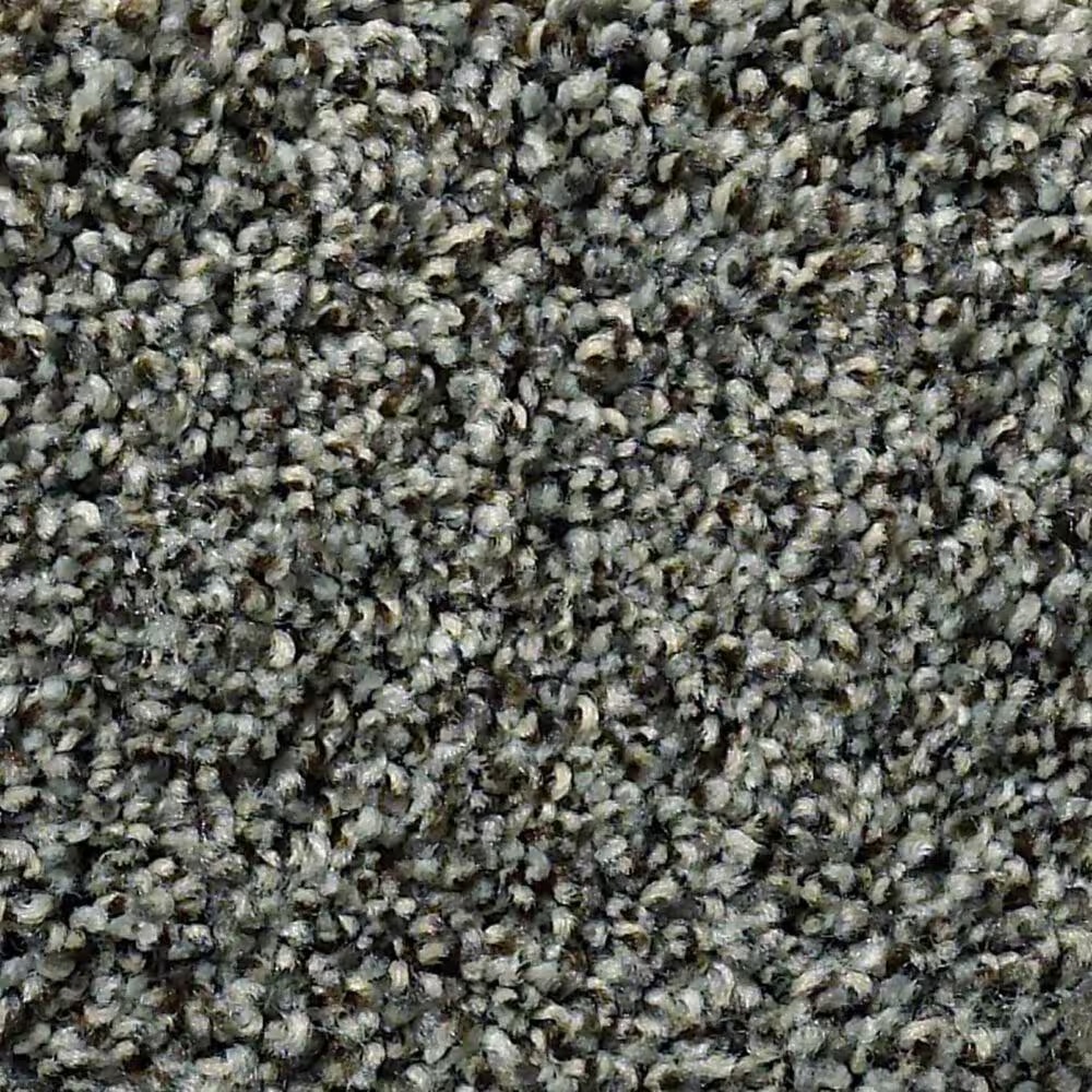 Anderson Tuftex The Bark Side II Carpet in Rushmore