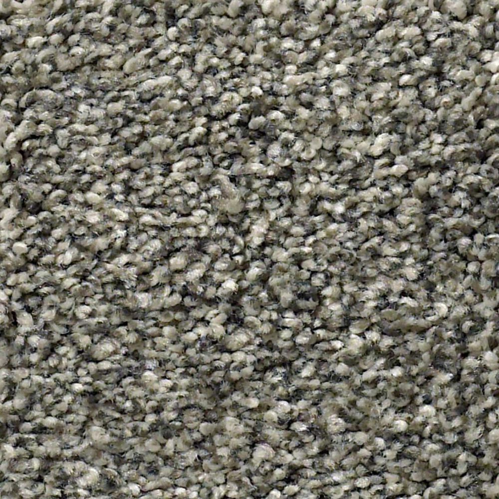 Anderson Tuftex The Bark Side II Carpet in Leeds