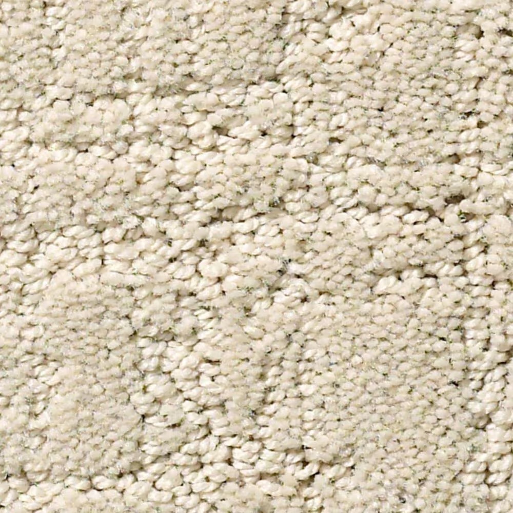 Shaw Creating Memories Carpet in Homemade Ice Cream