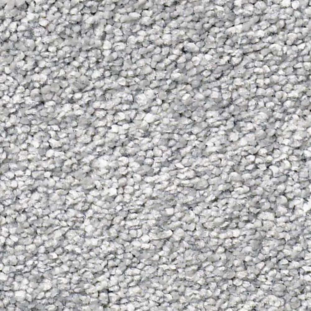 Shaw Find Your Comfort NS II Carpet in Polished Silver