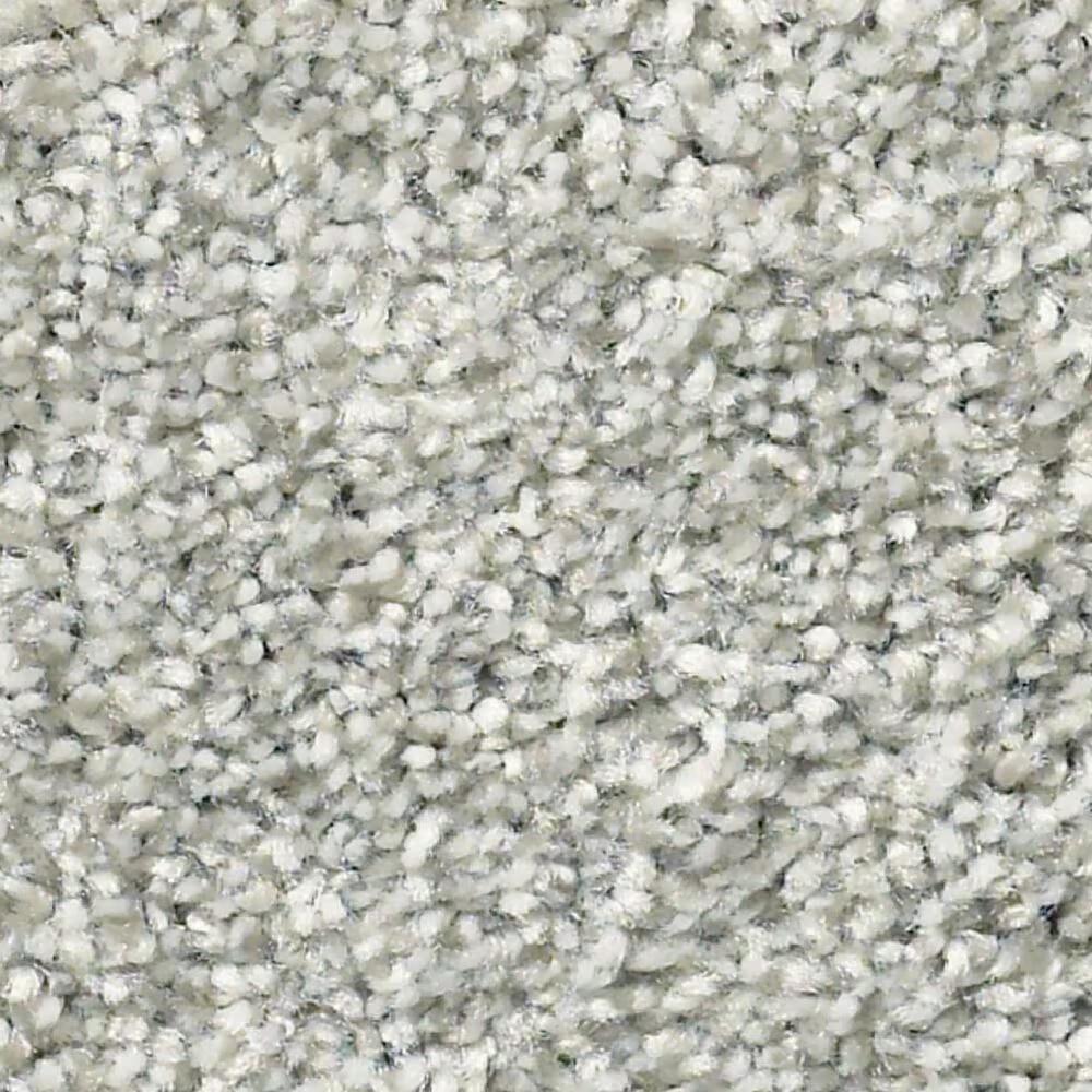 Shaw Simply the Best Cabana Life Tonal Carpet in Fog