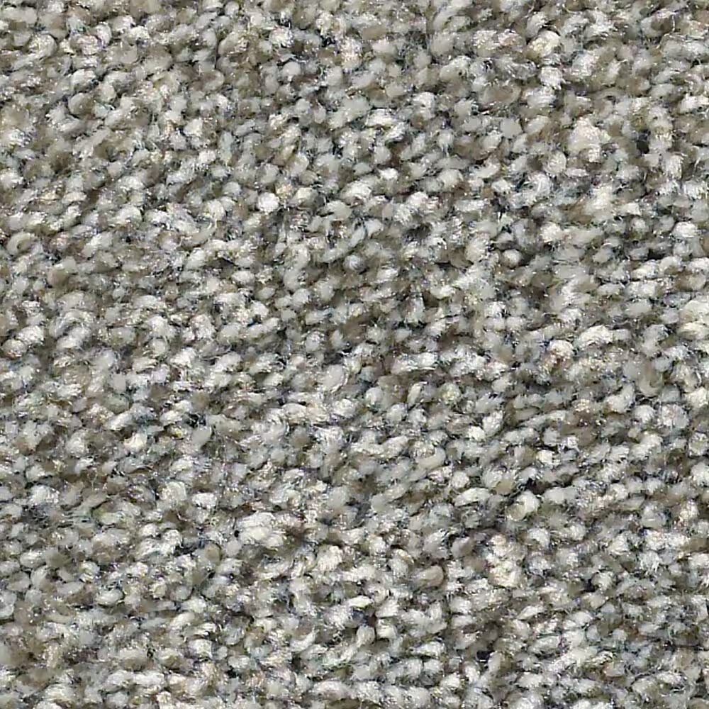 Shaw Simply the Best Cabana Life Tonal Carpet in Walking Trail