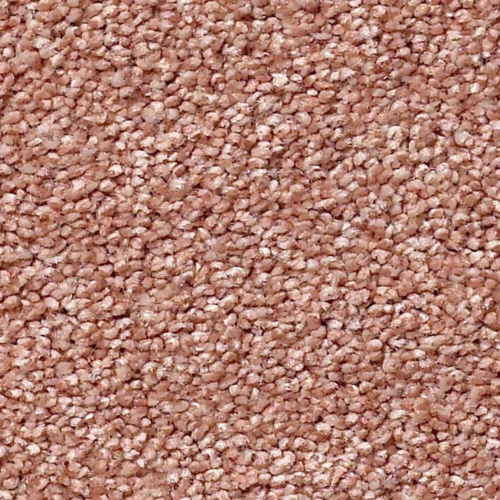 Shaw Find Your Comfort NS II Carpet in Open The Rose