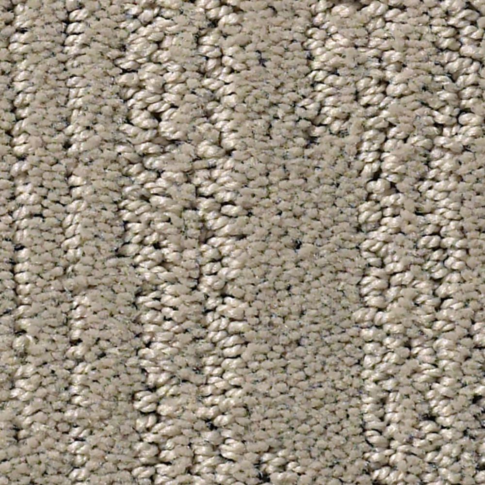 Shaw Making Memories Carpet in Back Patio