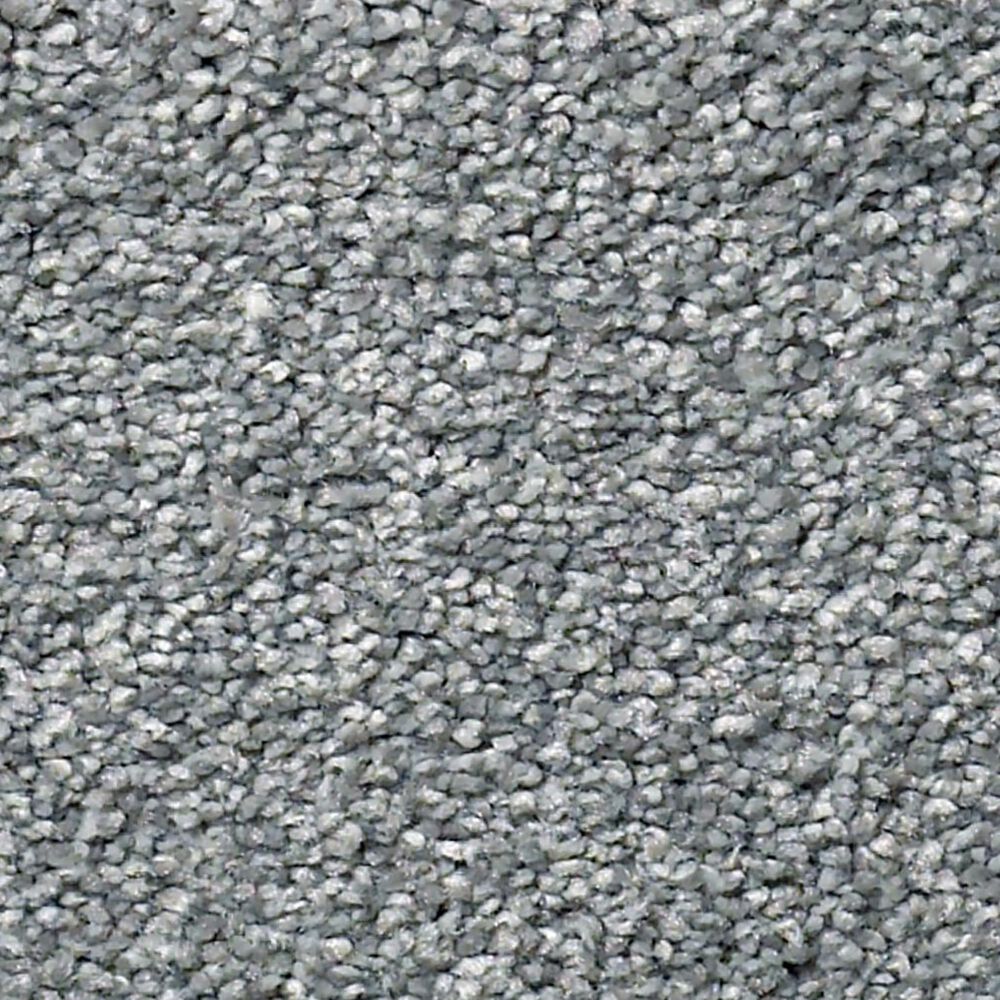 Shaw Find Your Comfort NS II Carpet in Dolphin Sighting