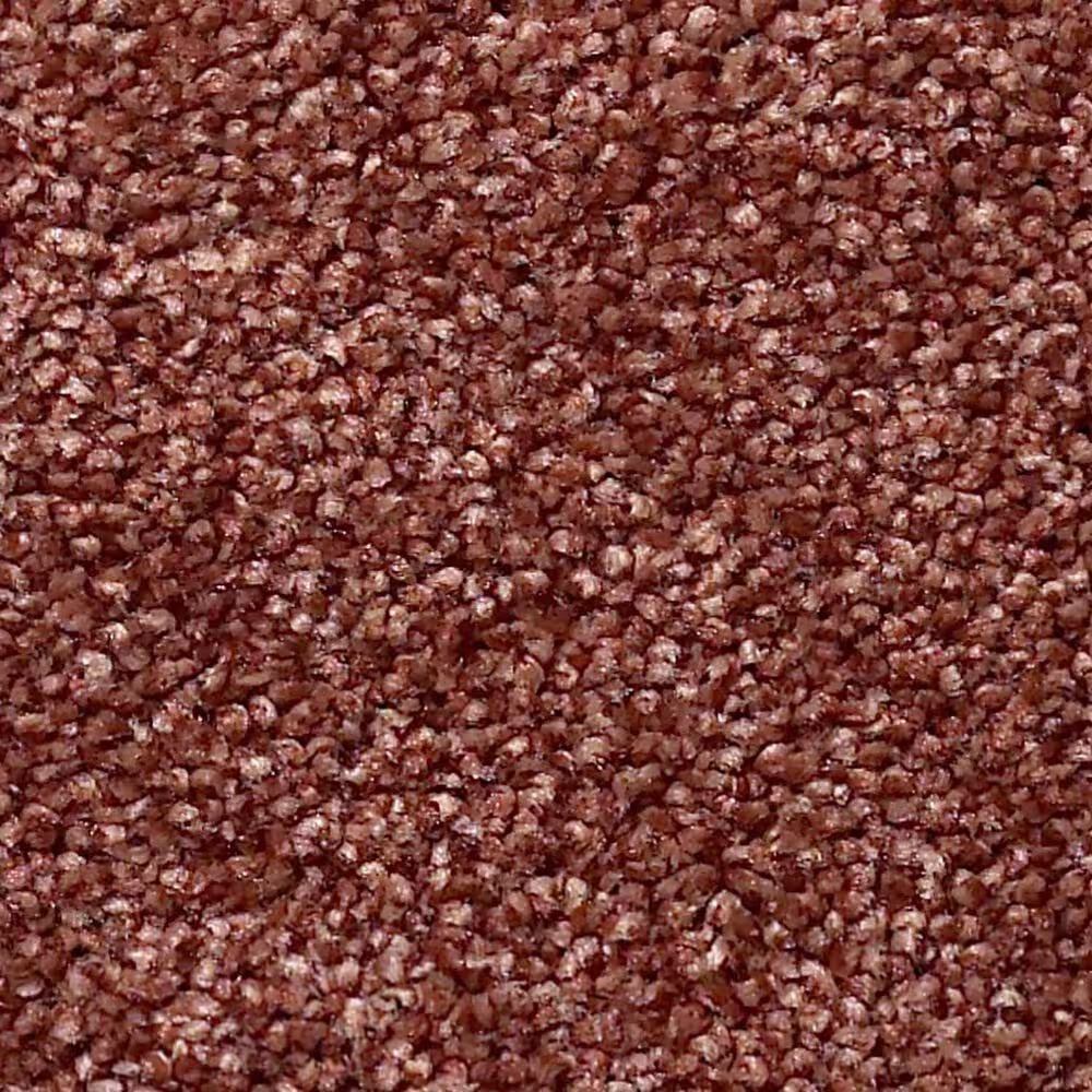 Shaw Find Your Comfort NS II Carpet in Serene Sunset