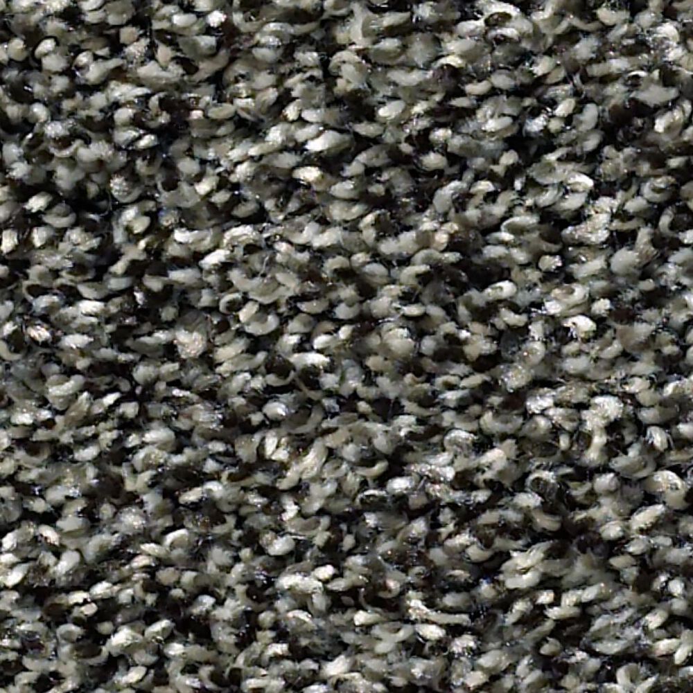Shaw Simply the Best All About It Carpet in Meteorite