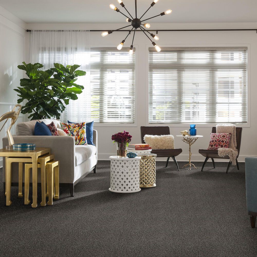 36014-shaw-simply-the-best-all-about-it-carpet-in-meteorite-1.jpg
