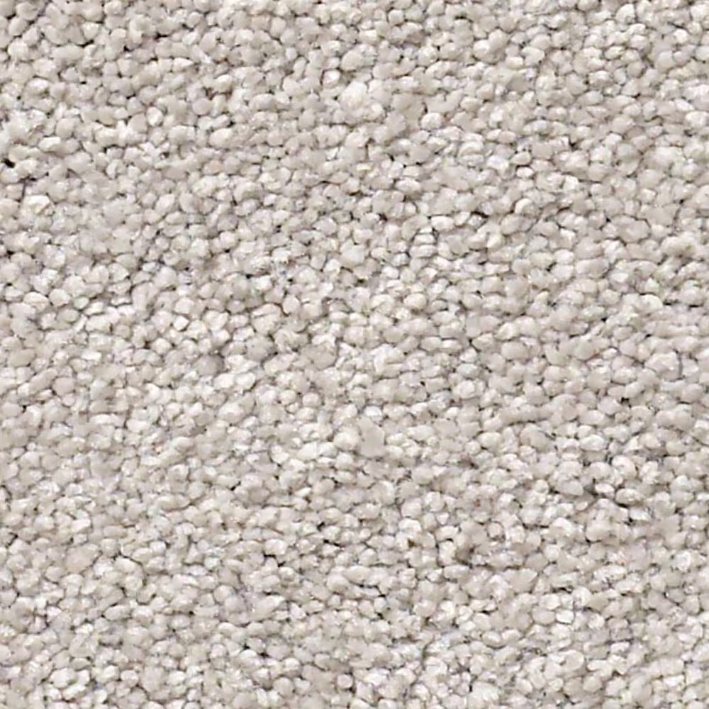 Shaw Find Your Comfort NS II Carpet in Dreamy