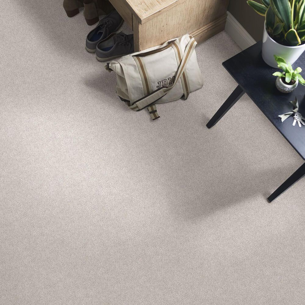 36022-shaw-find-your-comfort-ns-ii-carpet-in-dreamy-1.jpg