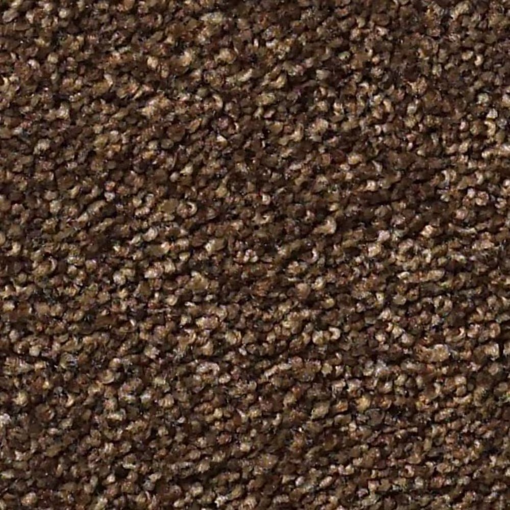 Shaw Find Your Comfort NS II Carpet in Chocolate Treat