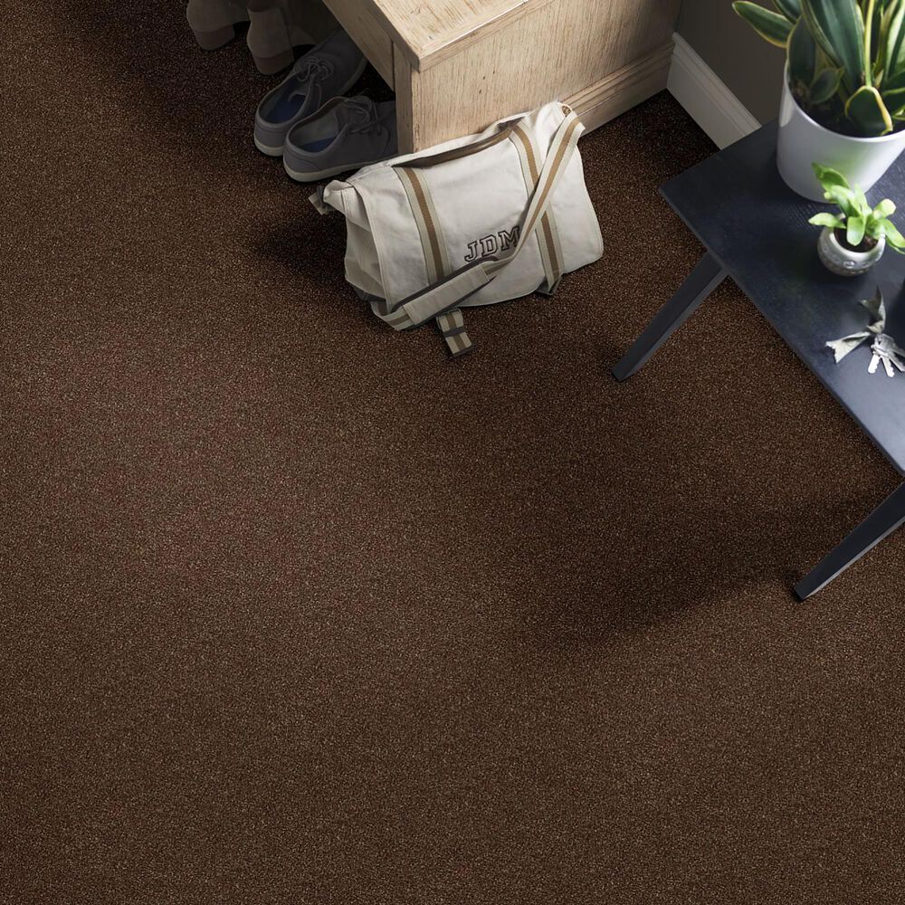 36082-shaw-find-your-comfort-ns-ii-carpet-in-chocolate-treat-1.jpg