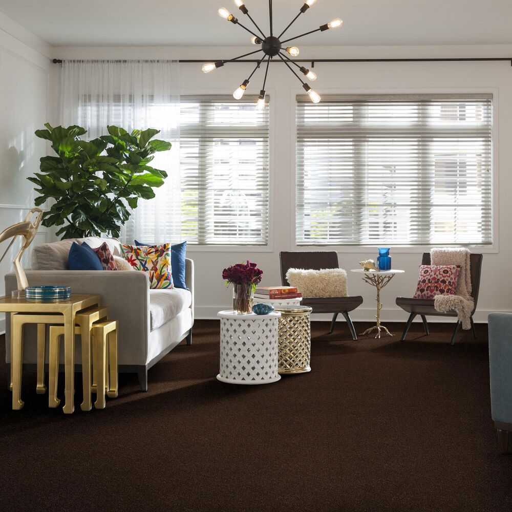 36082-shaw-find-your-comfort-ns-ii-carpet-in-chocolate-treat-1.jpg